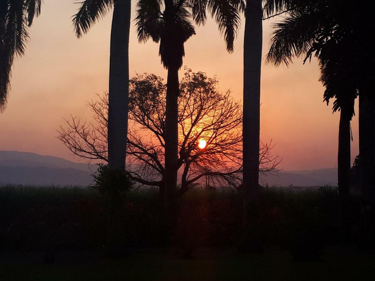 Rosegarden Guesthouse Pongola Kültér fotó